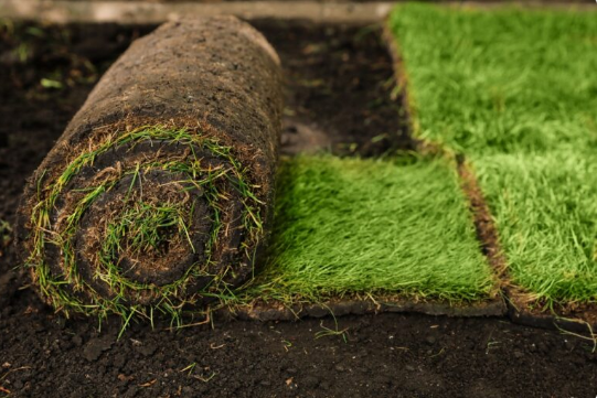 1 london ontario sod installation