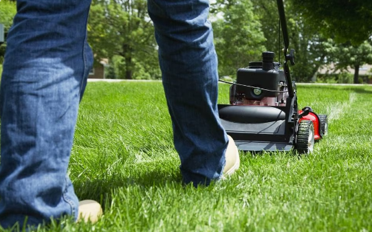 5 london ontario lawn mowing lawn maintenance lawn care